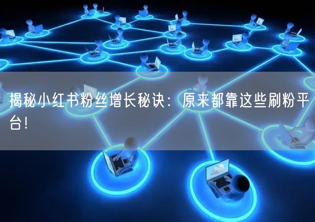 揭秘小红书粉丝增长秘诀：原来都靠这些刷粉平台！