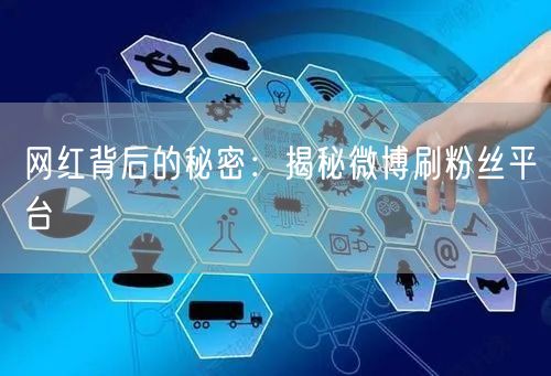 网红背后的秘密：揭秘微博刷粉丝平台