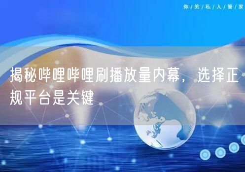 揭秘哔哩哔哩刷播放量内幕，选择正规平台是关键