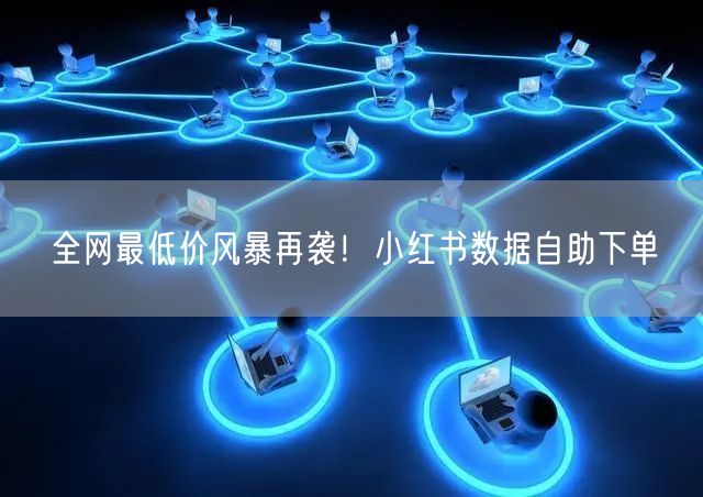 全网最低价风暴再袭！小红书数据自助下单