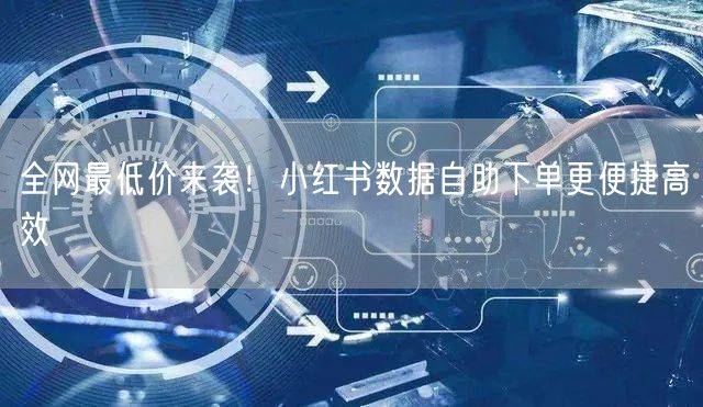 全网最低价来袭！小红书数据自助下单更便捷高效