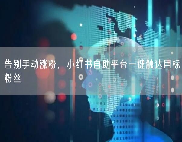 告别手动涨粉，小红书自助平台一键触达目标粉丝