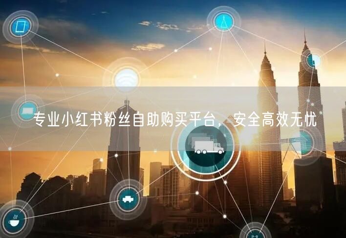 专业小红书粉丝自助购买平台，安全高效无忧