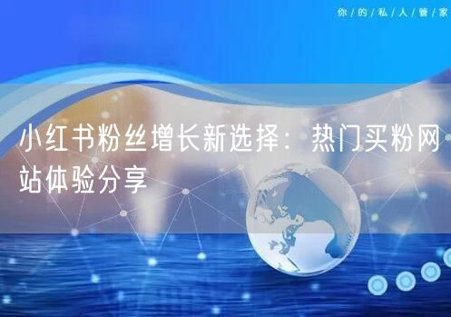 小红书粉丝增长新选择：热门买粉网站体验分享