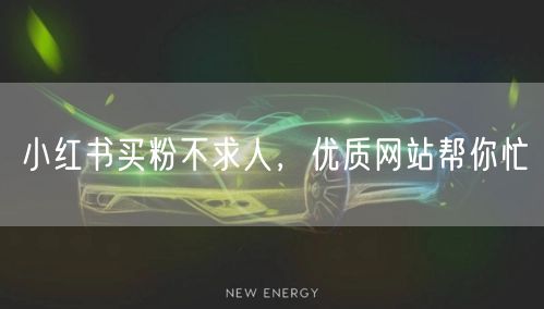 小红书买粉不求人，优质网站帮你忙