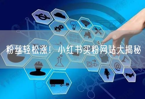 粉丝轻松涨！小红书买粉网站大揭秘