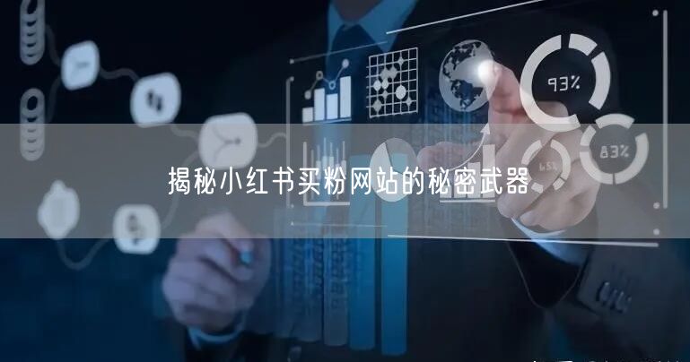 揭秘小红书买粉网站的秘密武器