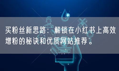 买粉丝新思路：解锁在小红书上高效增粉的秘诀和优质网站推荐。