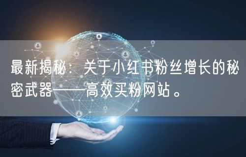 最新揭秘：关于小红书粉丝增长的秘密武器——高效买粉网站。