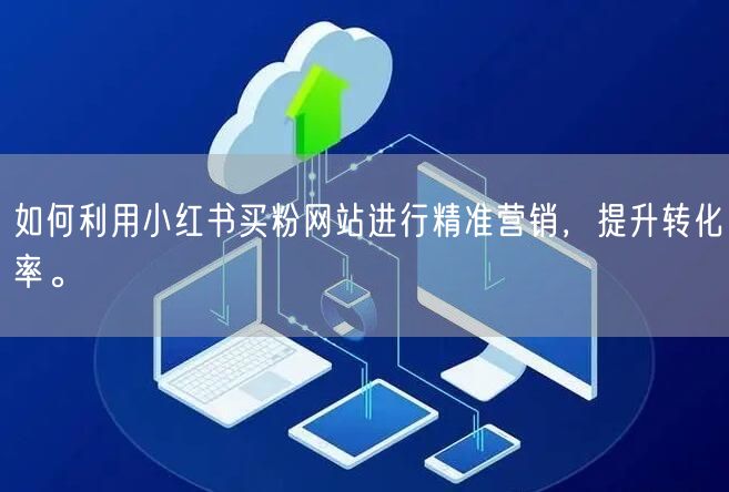 如何利用小红书买粉网站进行精准营销，提升转化率。